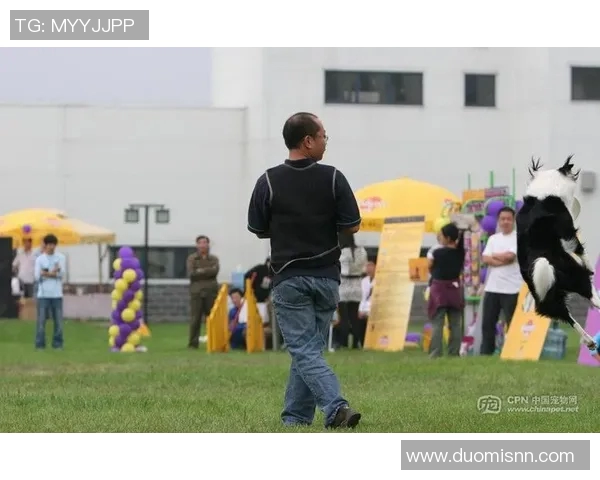 北京飞盘队进攻表现分析与得失总结探讨